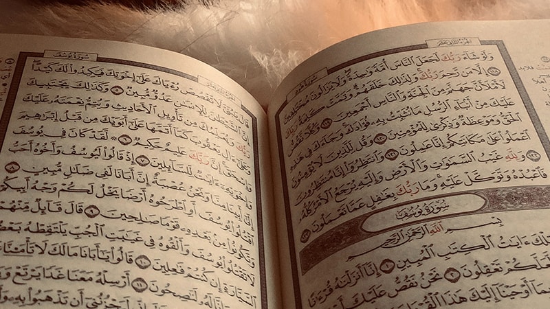 Kata-Kata Bijak Santri - Quran