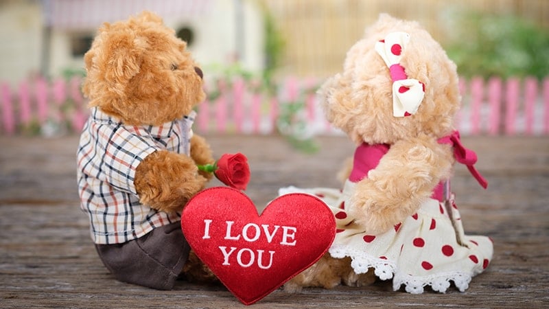 Kata-Kata Perjuangan Cinta - Boneka Beruang Pasangan