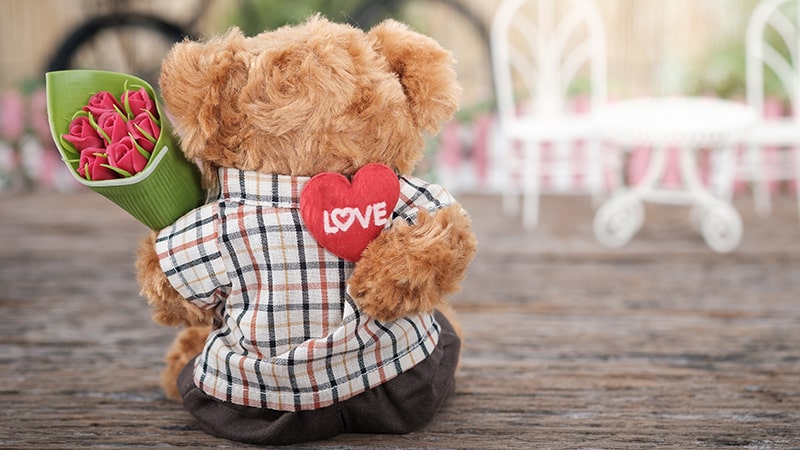 Kata-Kata Mencintai dalam Diam - Boneka Beruang