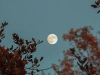 Kata-Kata tentang Bulan - Bulan Prunama