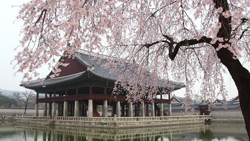 Kata Bijak Bahasa Korea - Istana GyeongBok