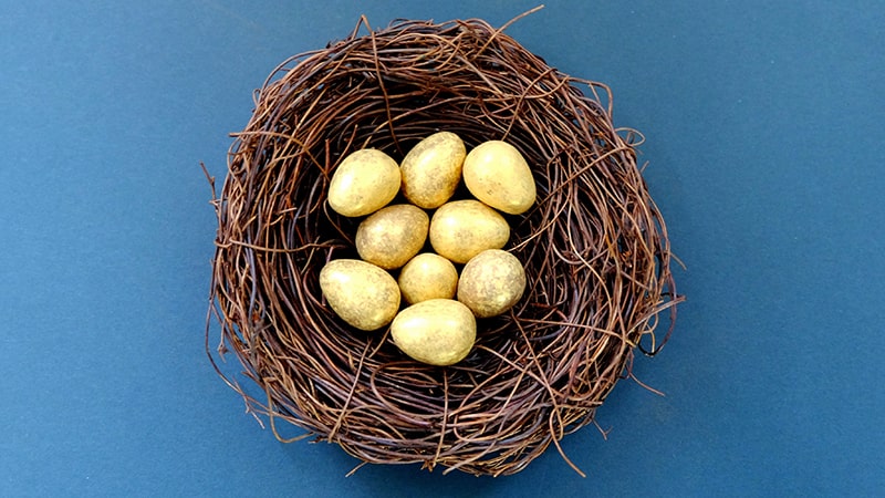Cerita Angsa Bertelur Emas - Telur Emas dalam Sangkar