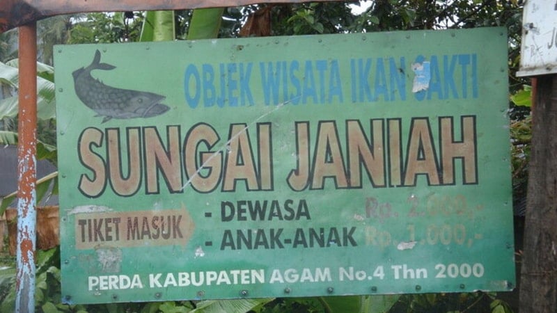 Legenda Ikan Sakti Sungai Janiah - Papan Objek Wisata