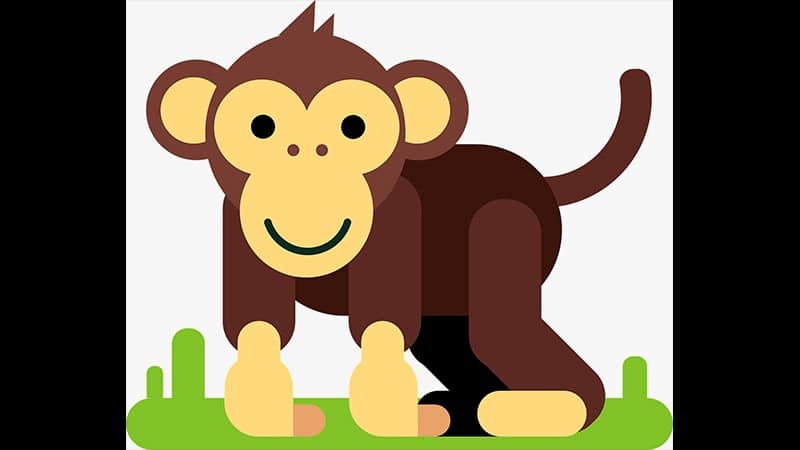 Seekor Monyet