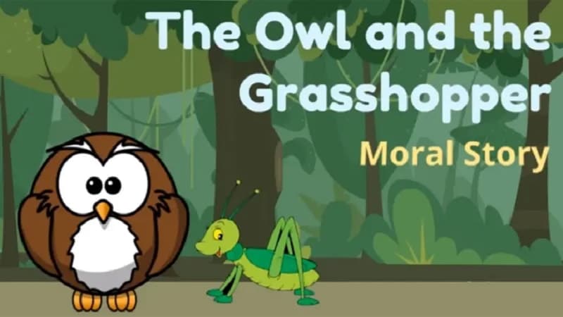Cerita Burung Hantu dan Belalang - Owl and Grasshopper