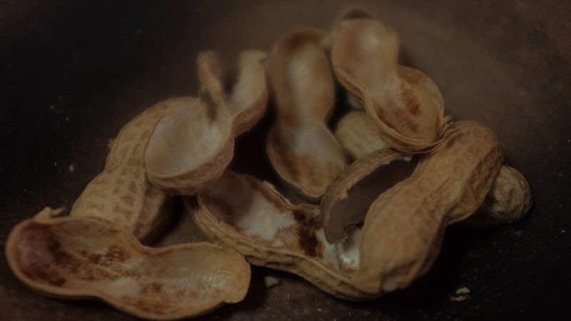 Kata-Kata Kacang Lupa Kulit - Kulit Kacang
