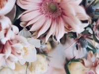 Kata-Kata Kristen yang Menguatkan - bunga pink
