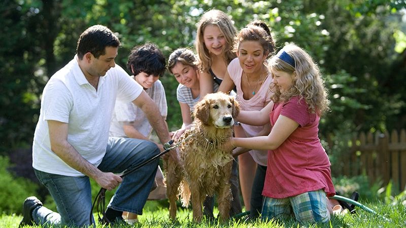 Kata Bijak Keluarga Bahasa Inggris - Keluarga Memandikan Anjing