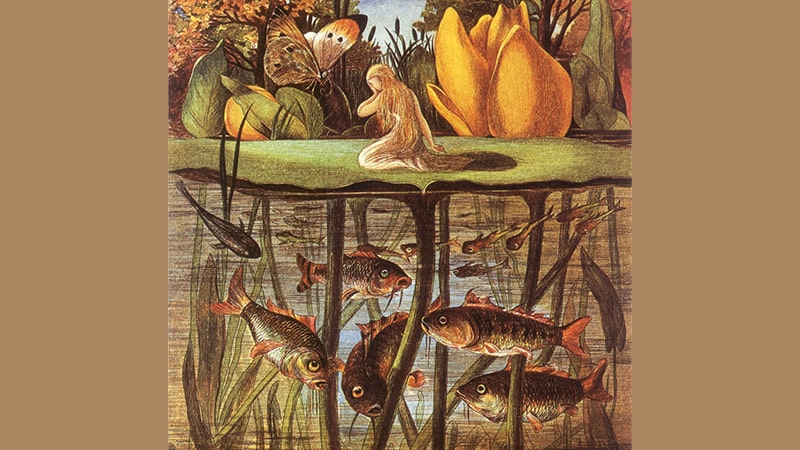 Cerita Thumbelina - Dikelilingi Ikan