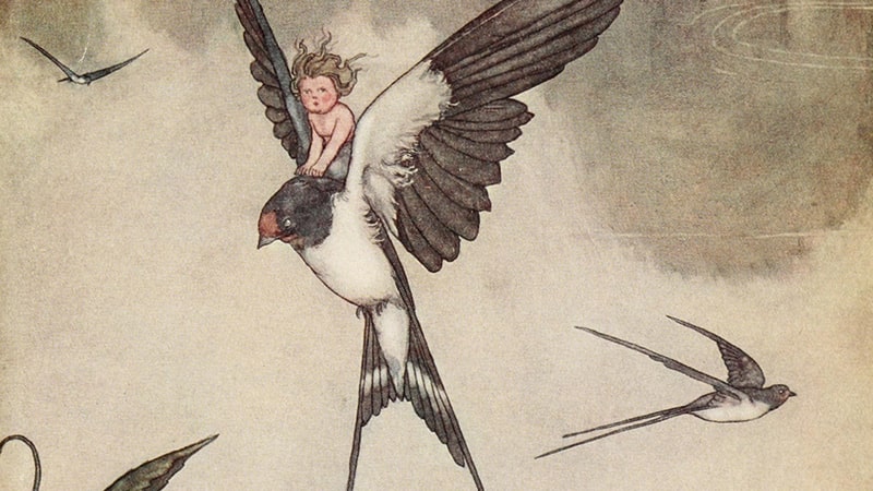 Cerita Thumbelina - Terbang Bersama Burung Walet