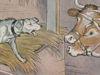 Anjing di Dalam Kandang Kerbau - Ilustrasi Versi Aesop