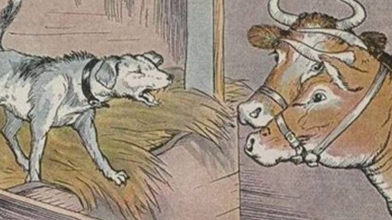 Anjing di Dalam Kandang Kerbau - Ilustrasi Versi Aesop