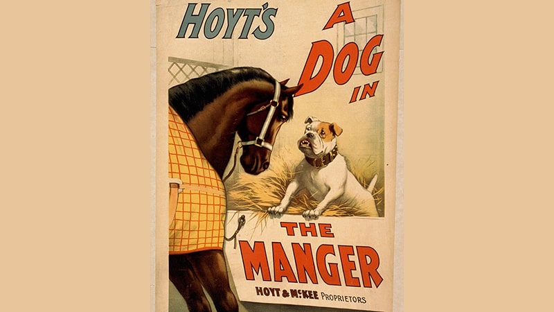 Anjing di Dalam Kandang Kerbau - Ilustrasi Versi Hoyt